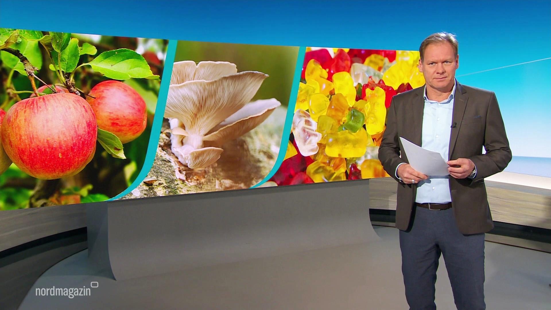 Nordmagazin - Land und Leute | 03.11.2025