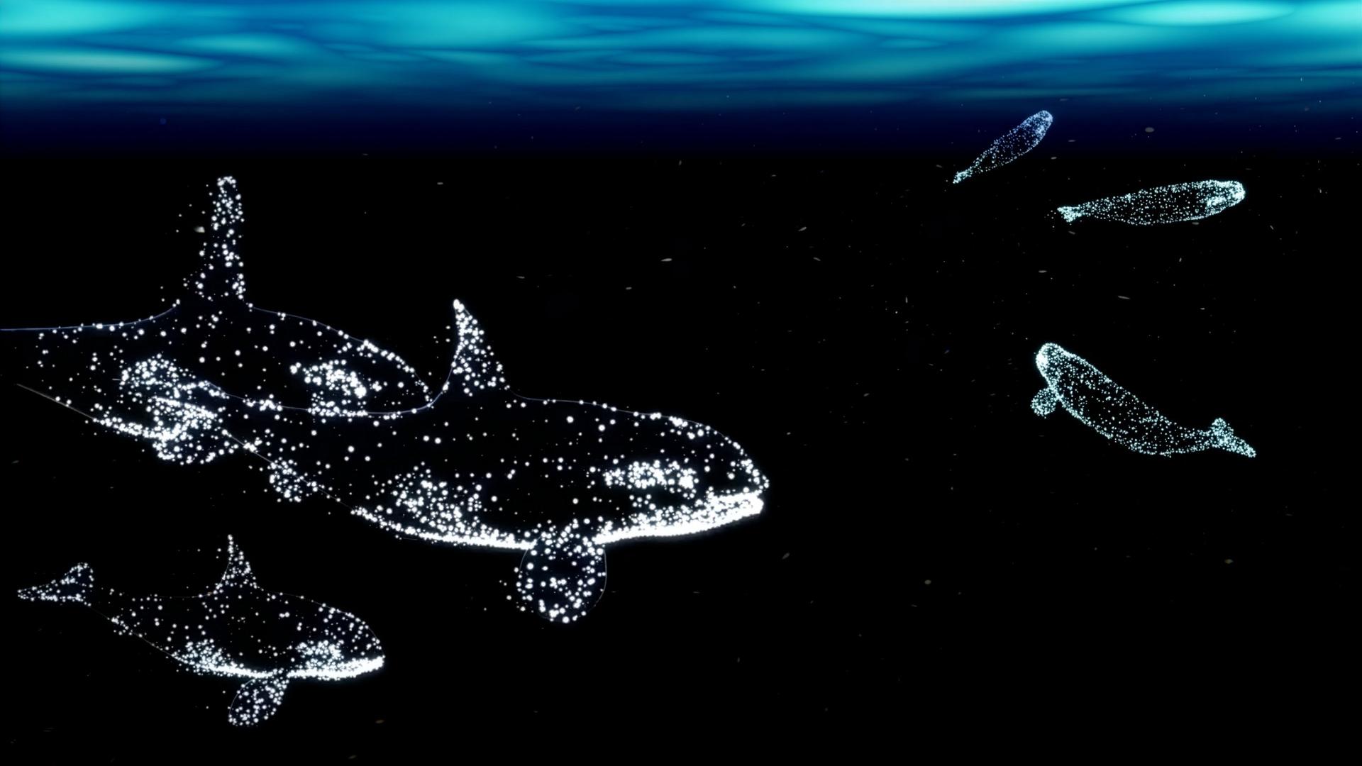 "Welt der Wale" - neue Show Ozeaneum in Stralsund