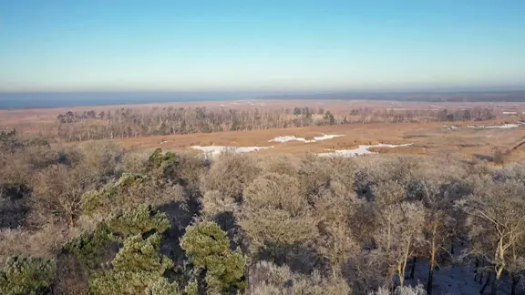Blick auf das Hütelmoor in der Rostocker Heide.
