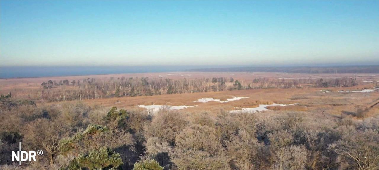 Blick auf das Hütelmoor in der Rostocker Heide. | Screenshot Blick auf das Hütelmoor in der Rostocker Heide.