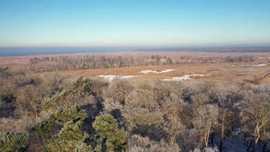 Blick auf das Hütelmoor in der Rostocker Heide.