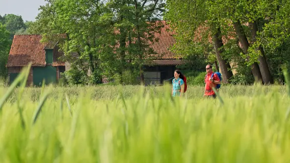 Zwei Wanderer gehen durch Felder auf dem Ahornweg.