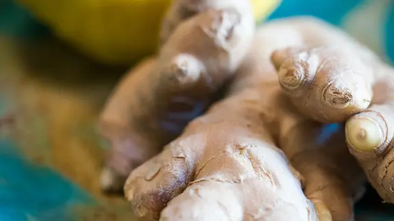 Ingwer selbst ziehen - so einfach geht's | ndr.de
