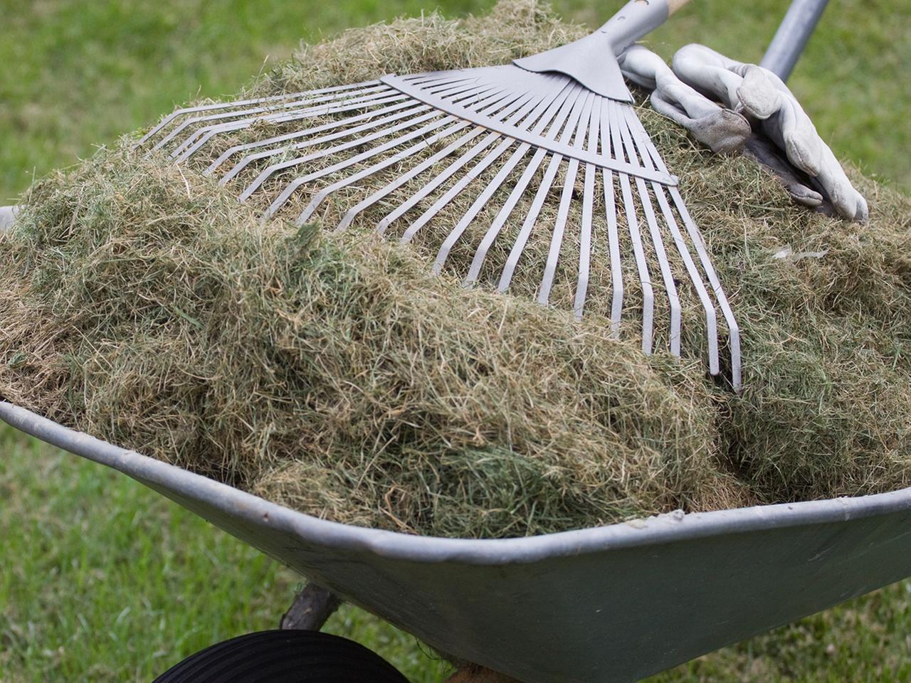 Mulchen mit Rasenschnitt und Rindenmulch: So funktioniert es | ndr.de