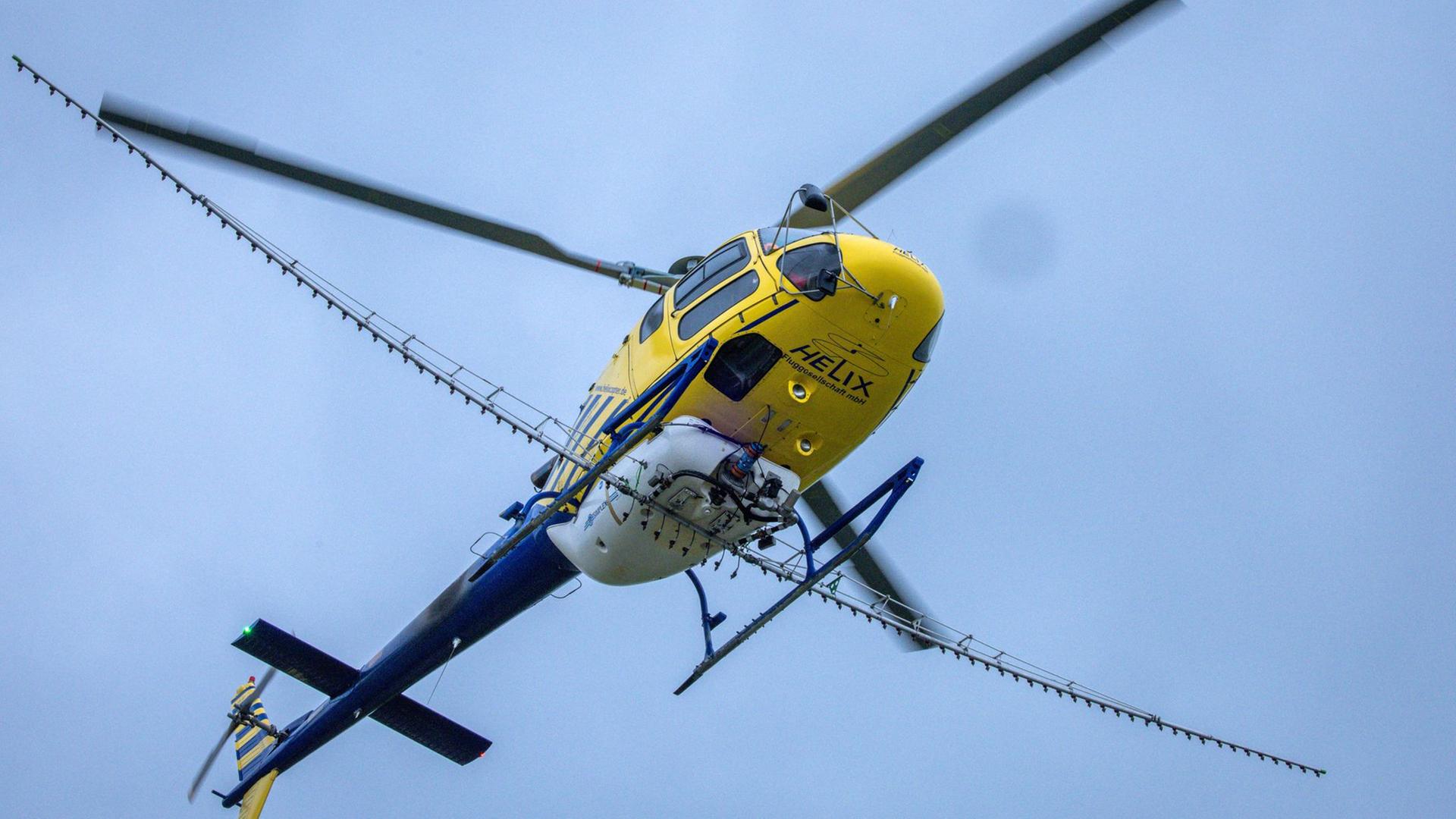 Ludwigslust-Parchim: Landkreis bekämpft Raupen aus der Luft