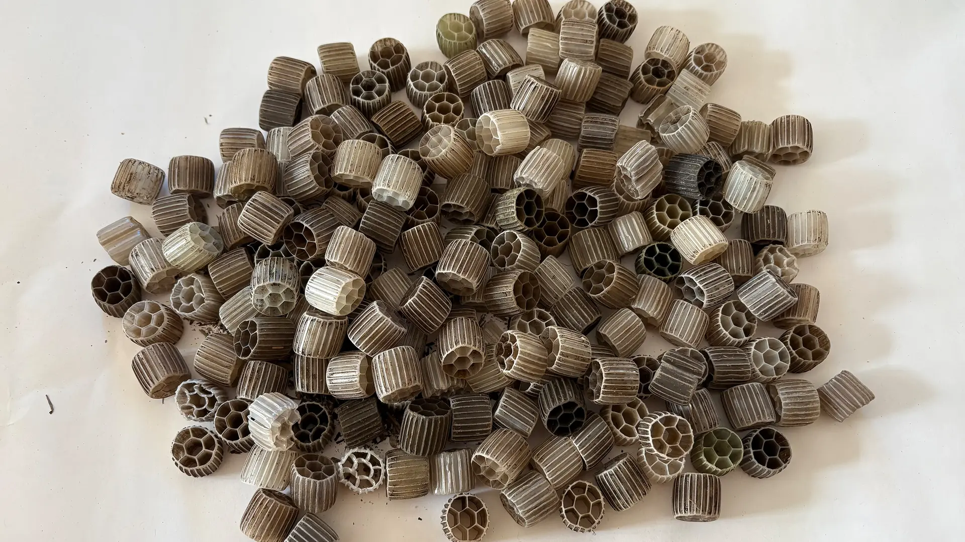 Plastikteile in der Schlei bei Schaalby angespült