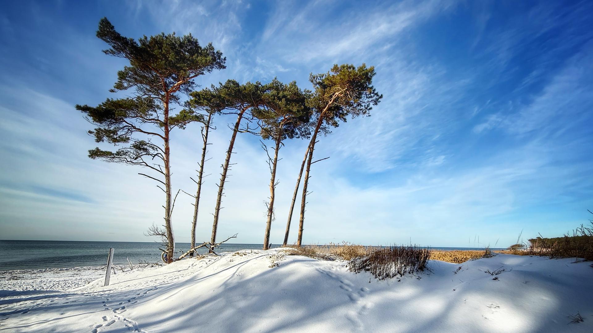 Winterlicher Weststrand auf der Halbinsel Fischland-Darß-Zingst  | NDR, Katrin Schäfer aus Ribnitz-Damgarten