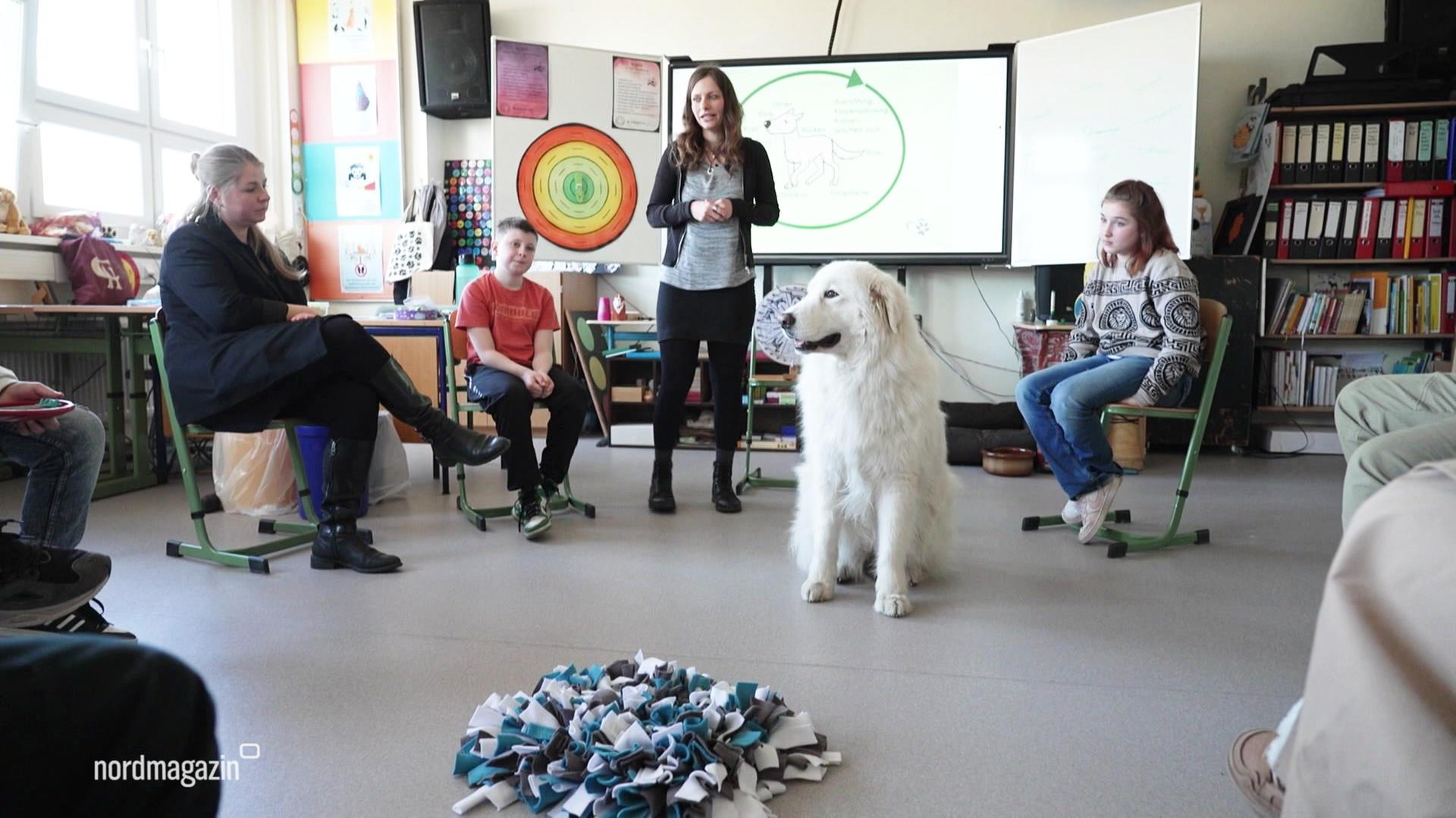 In der Mitte eines Stuhlkreises sitzt ein weißer Hund. | Screenshot