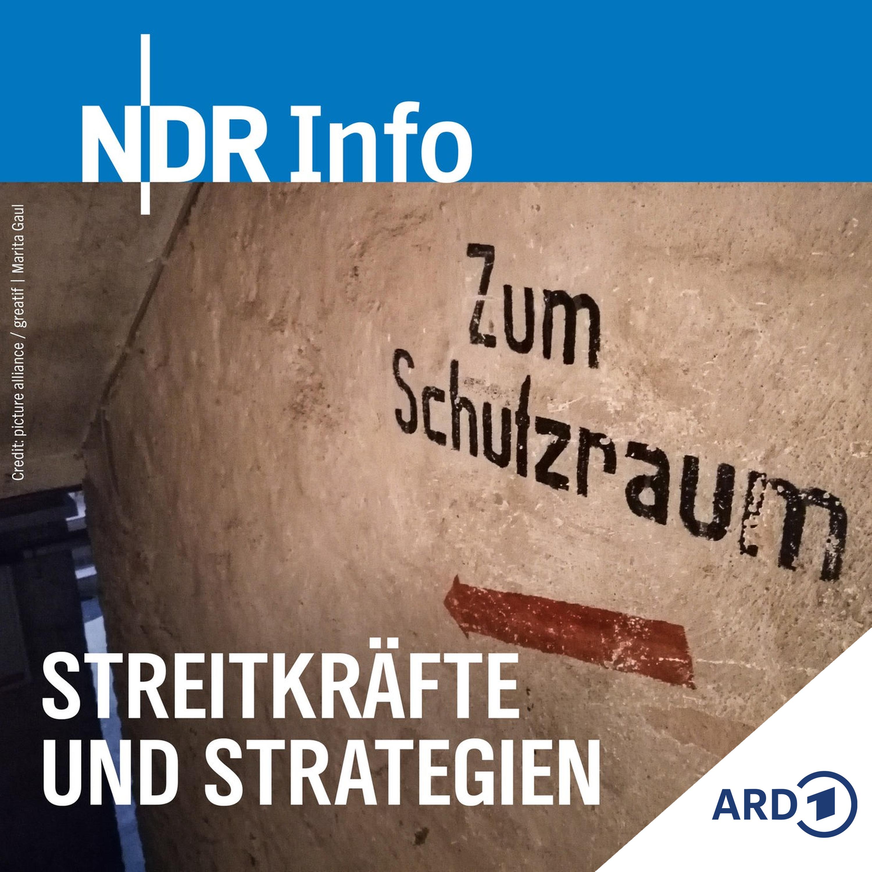 Streitkräfte und Strategien