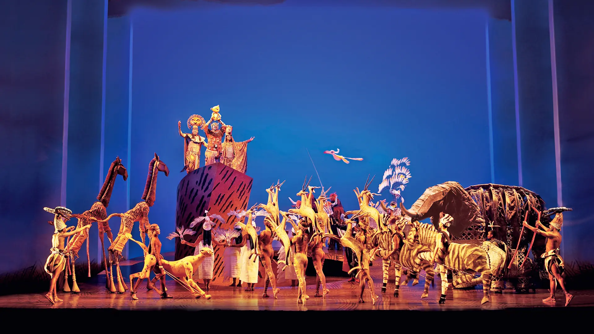 400 Kostüme, 16 Millionen Besucher: Darum fasziniert "König der Löwen"