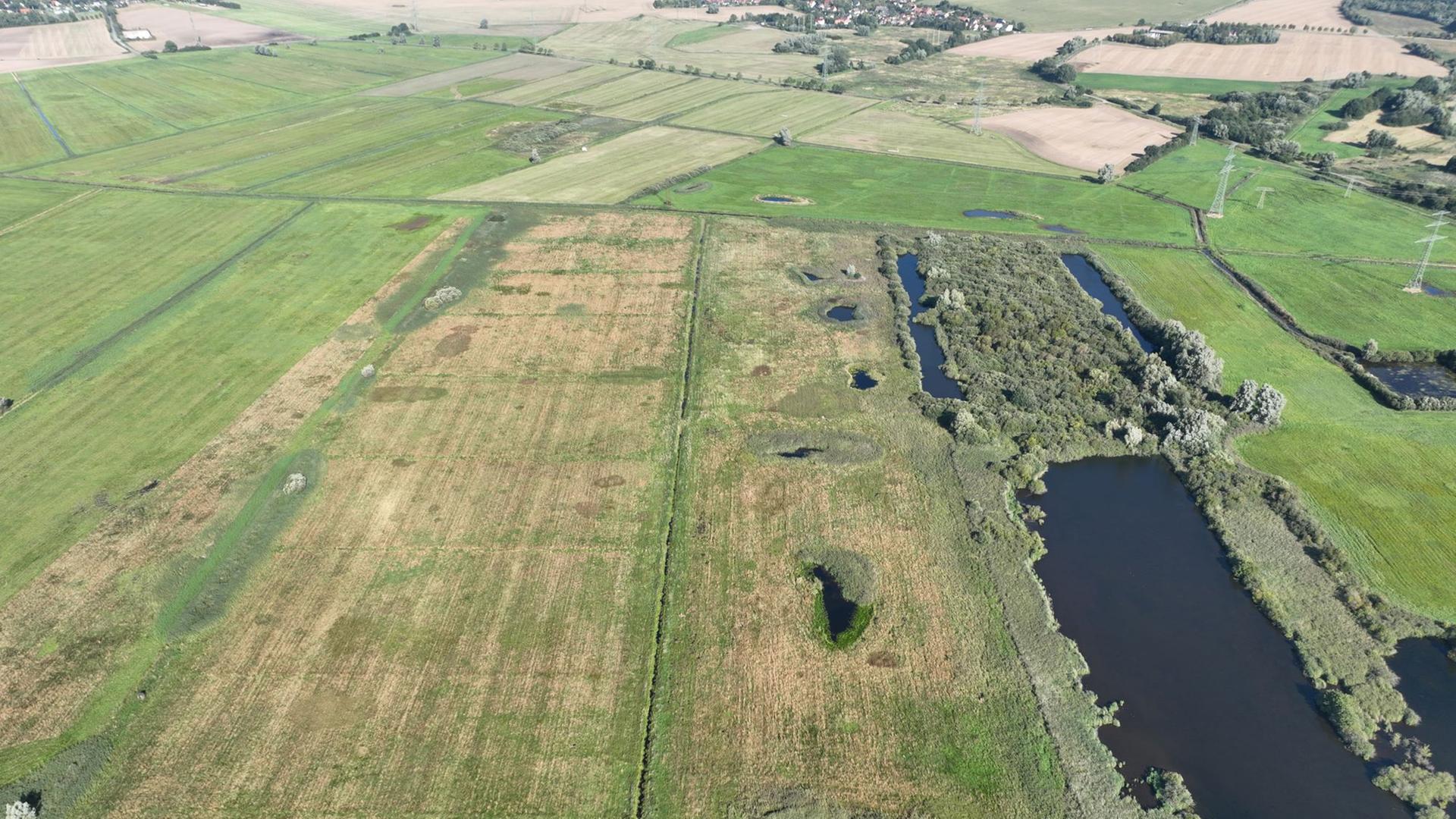 Siebendörfer Moor bei Schwerin wird wiedervernässt