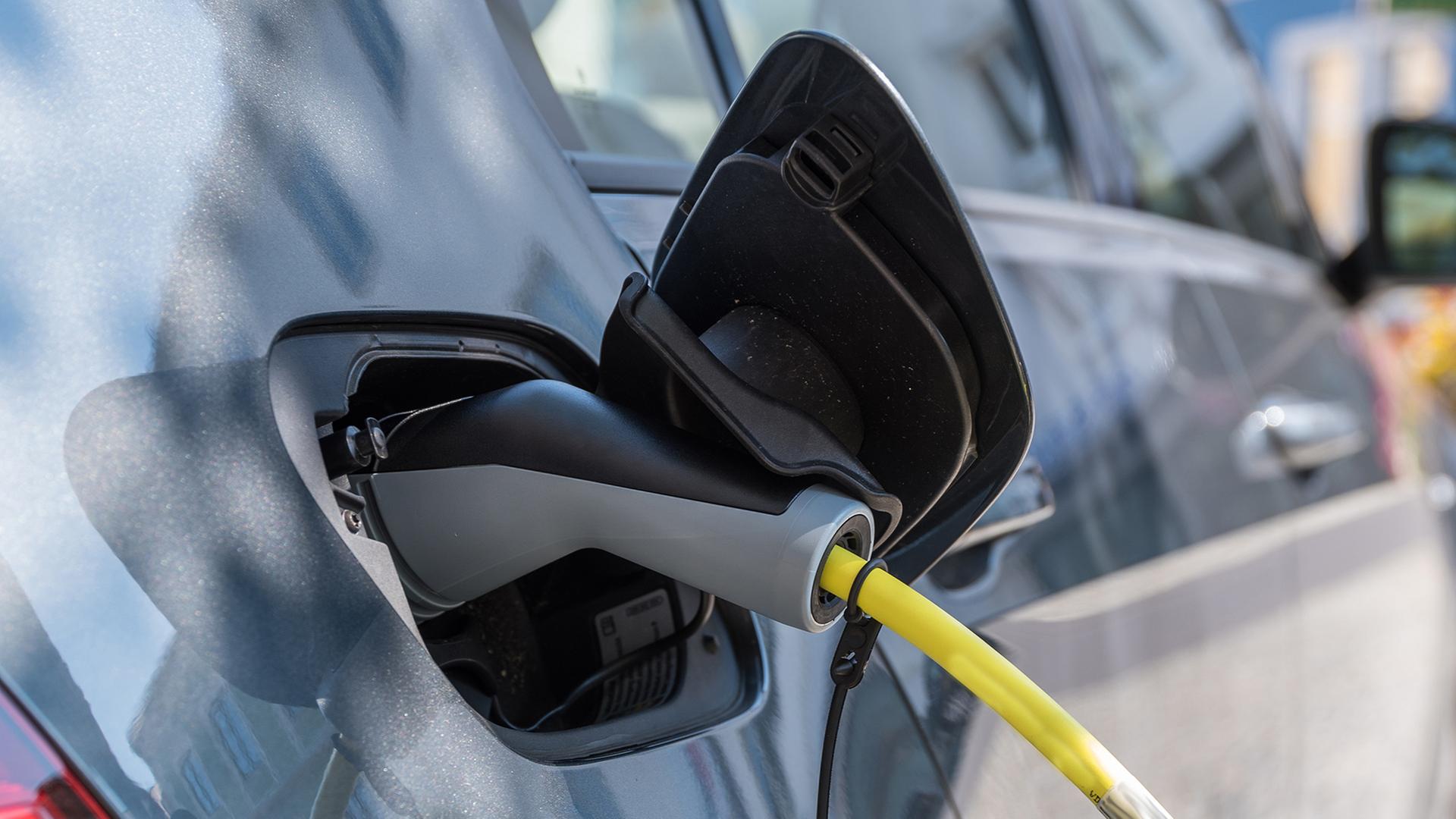 Neuzulassungen: Anteil der E-Autos steigt in Hamburg deutlich