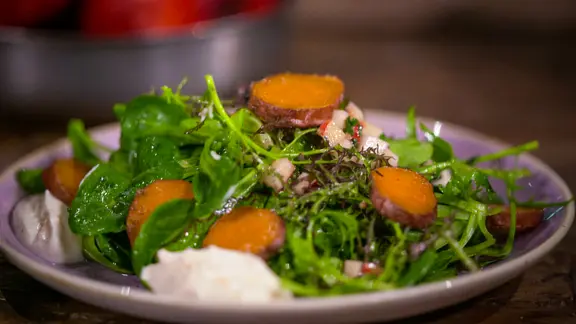 Ein Teller mit Feld- und Senfsalat mit Süßkartoffeln und Frischkäse