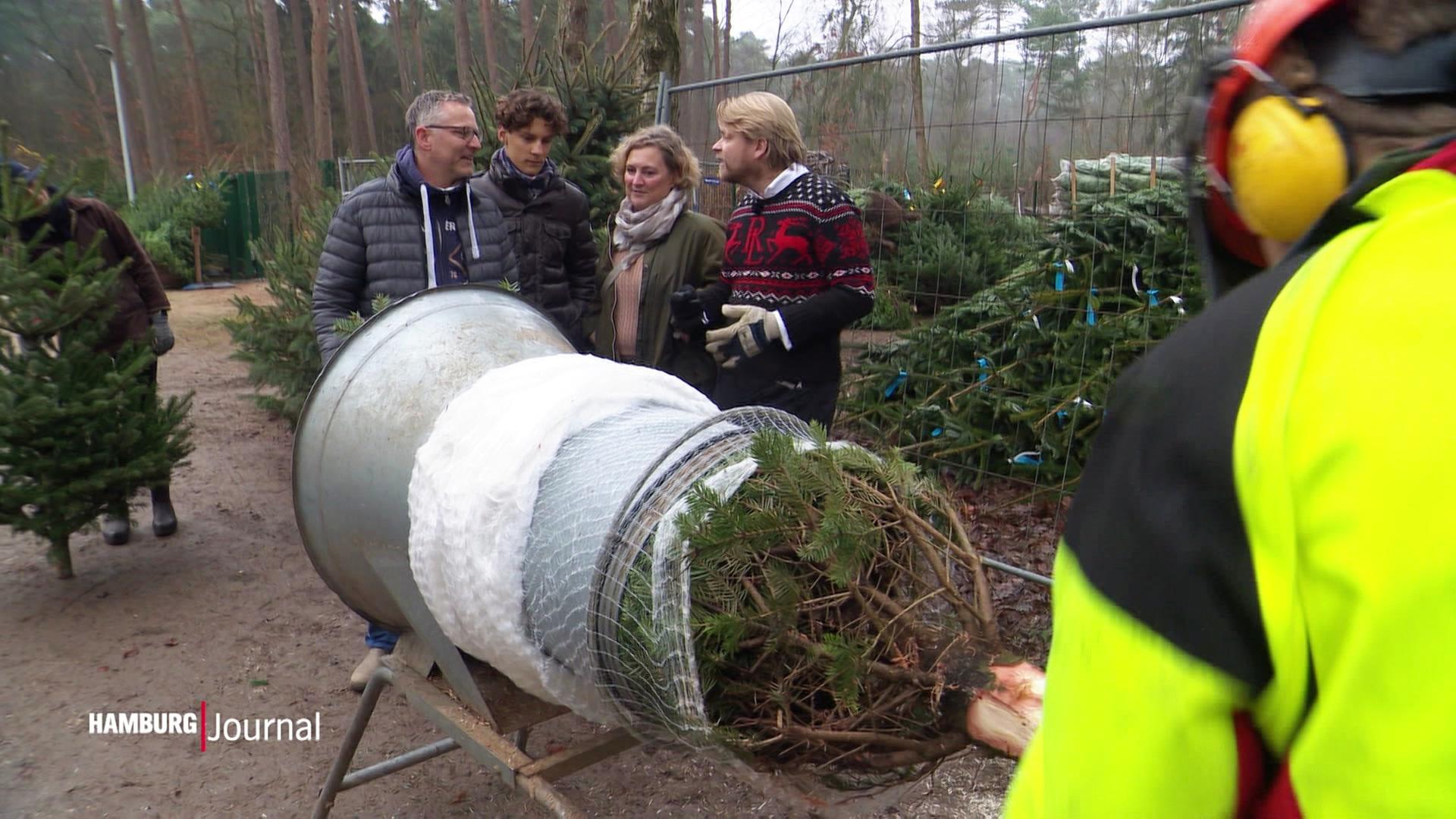 Gemeinnütziger Weihnachtsbaum-Verkauf im Klövensteen