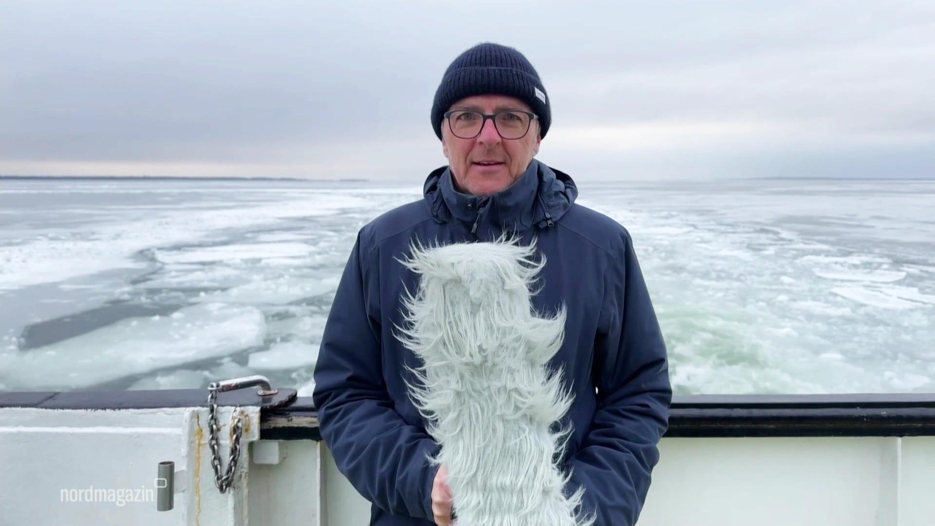 So wird das Wetter in Mecklenburg-Vorpommern am Montag