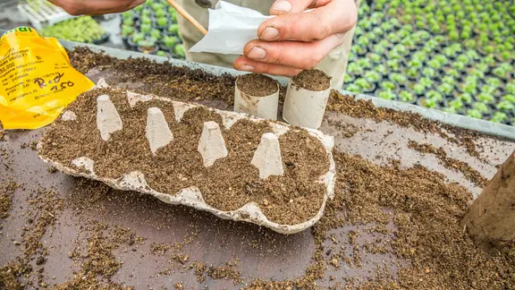 Anzuchttpfe aus Pappe selbst machen: So geht's | ndr.de