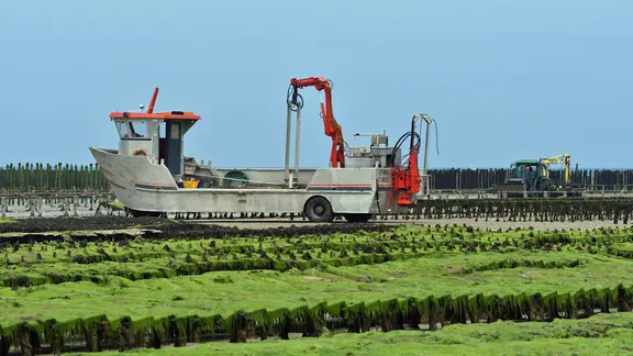 Bei Ebbe fährt ein Amphibienfahrzeug durch eine Austernzucht-Anlage an der bretonischen Küste in Nordfrankreich.