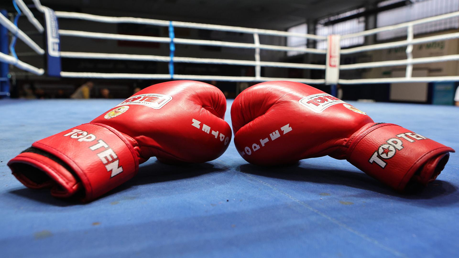 Boxen in SH: Warum der Sport immer mehr Jugendliche begeistert