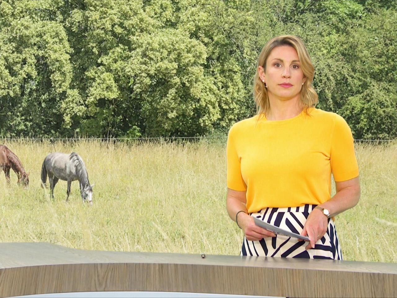 Guruh qattiq ogzaki porno Hayvonlar porno komikslar