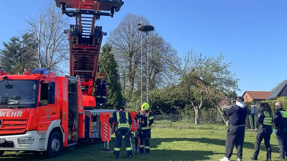 Einsatzkräfte der Feuerwehr stehen und unter einem Horst mit Störchen.