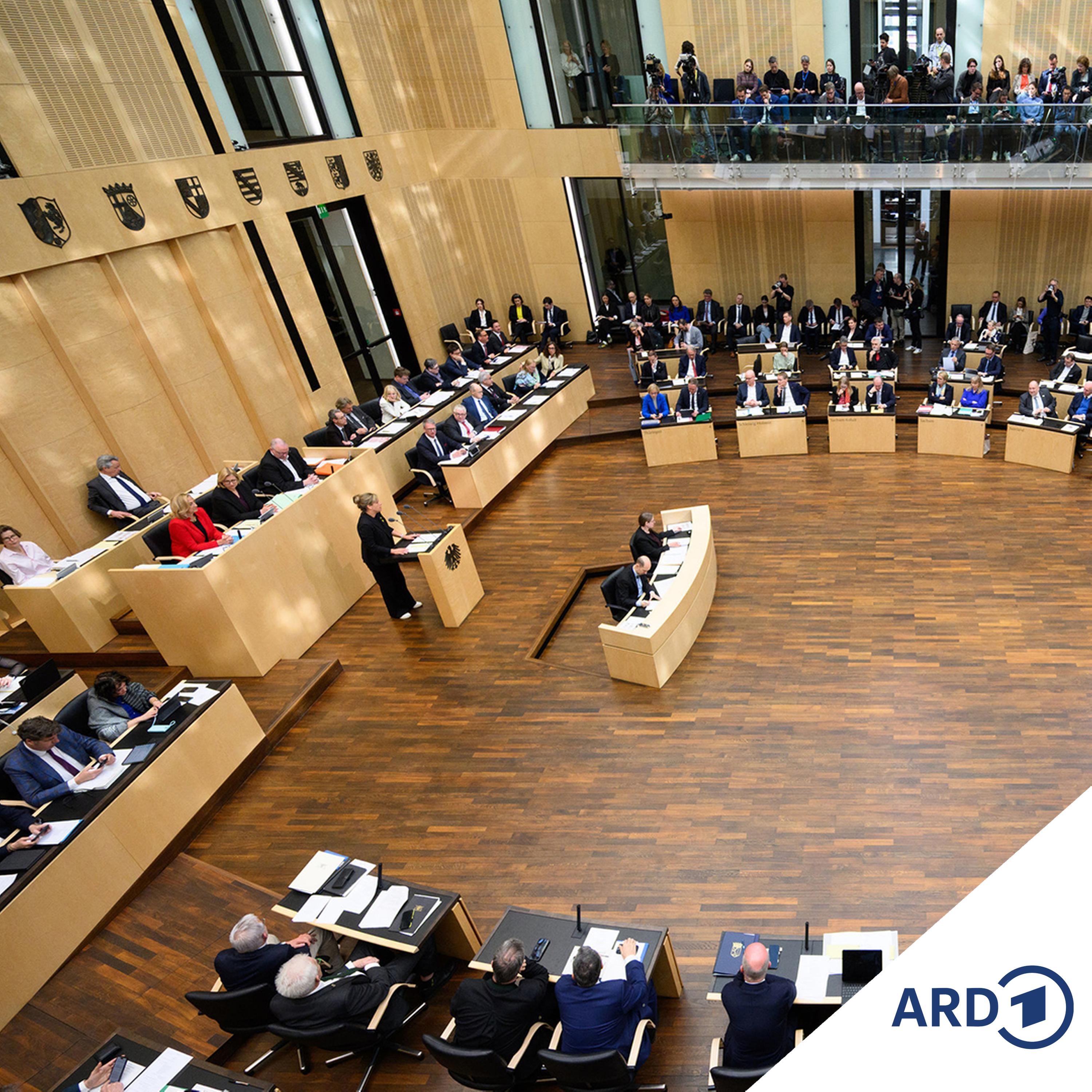 Milliarden-Kreditpaket: Bundesrat gibt grünes Licht