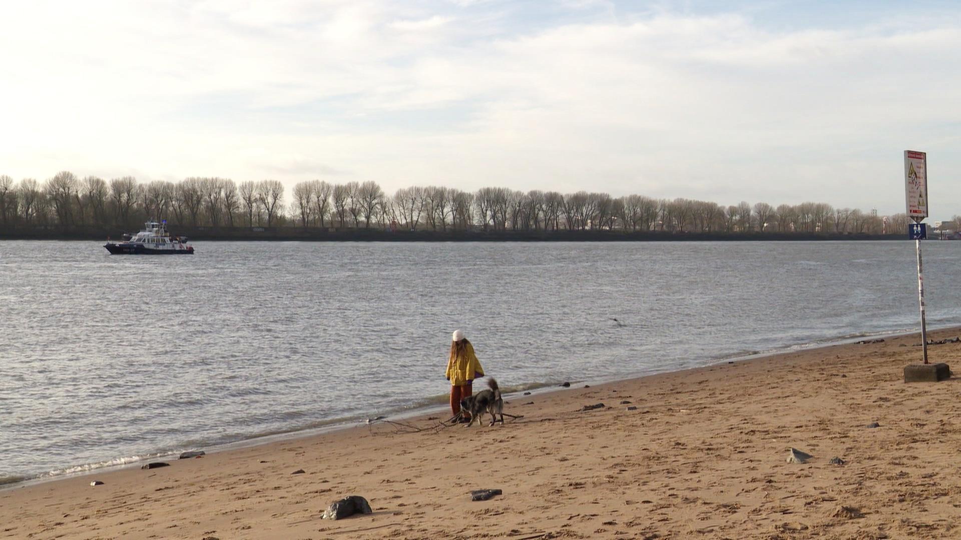 Initiative „Elbwald retten“ für Erhalt von Waldgebiet in Waltershof