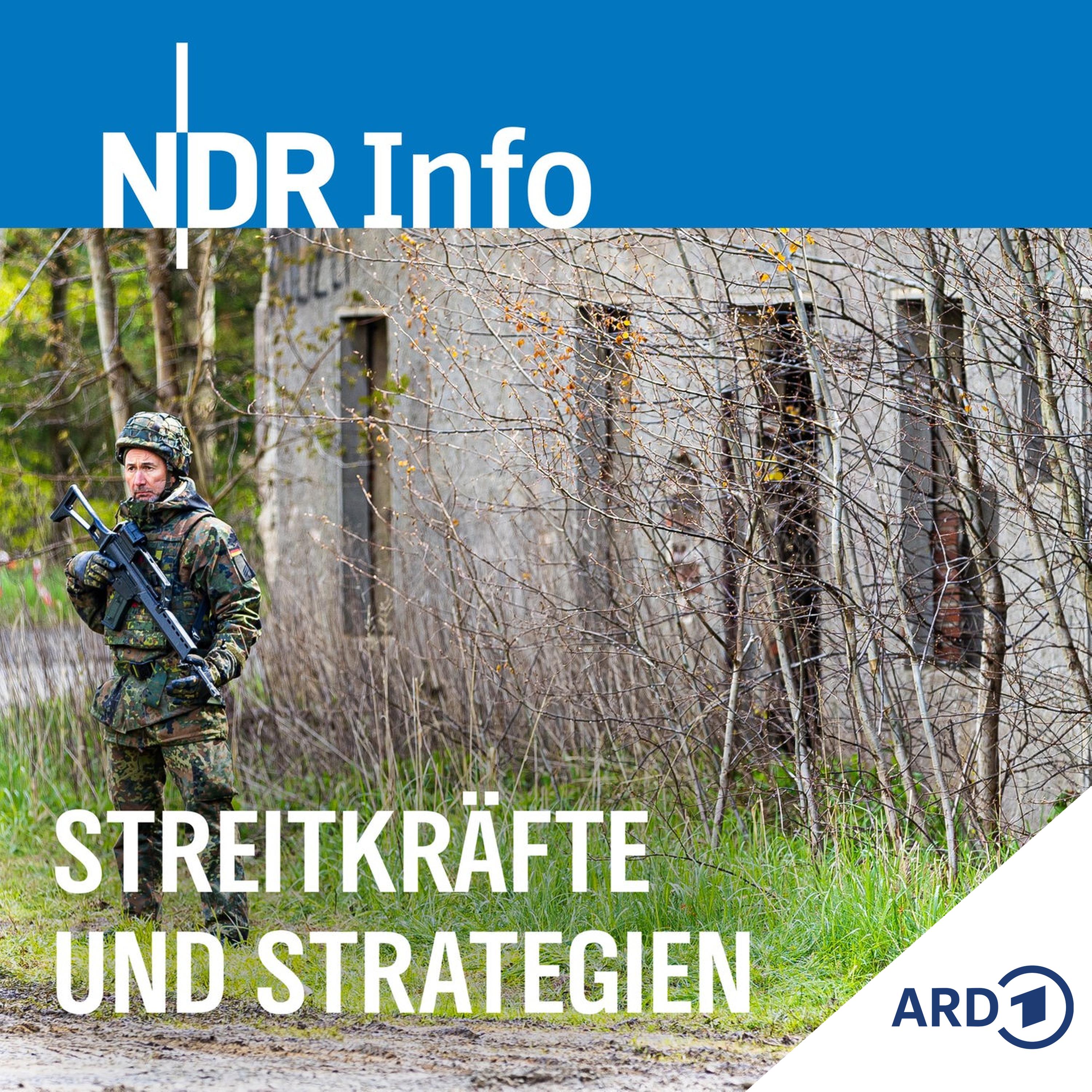 Streitkräfte und Strategien