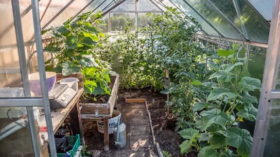 Kleines Gewächshaus Für Den Balkon - So Geht' Produktbild-Vorschau 2