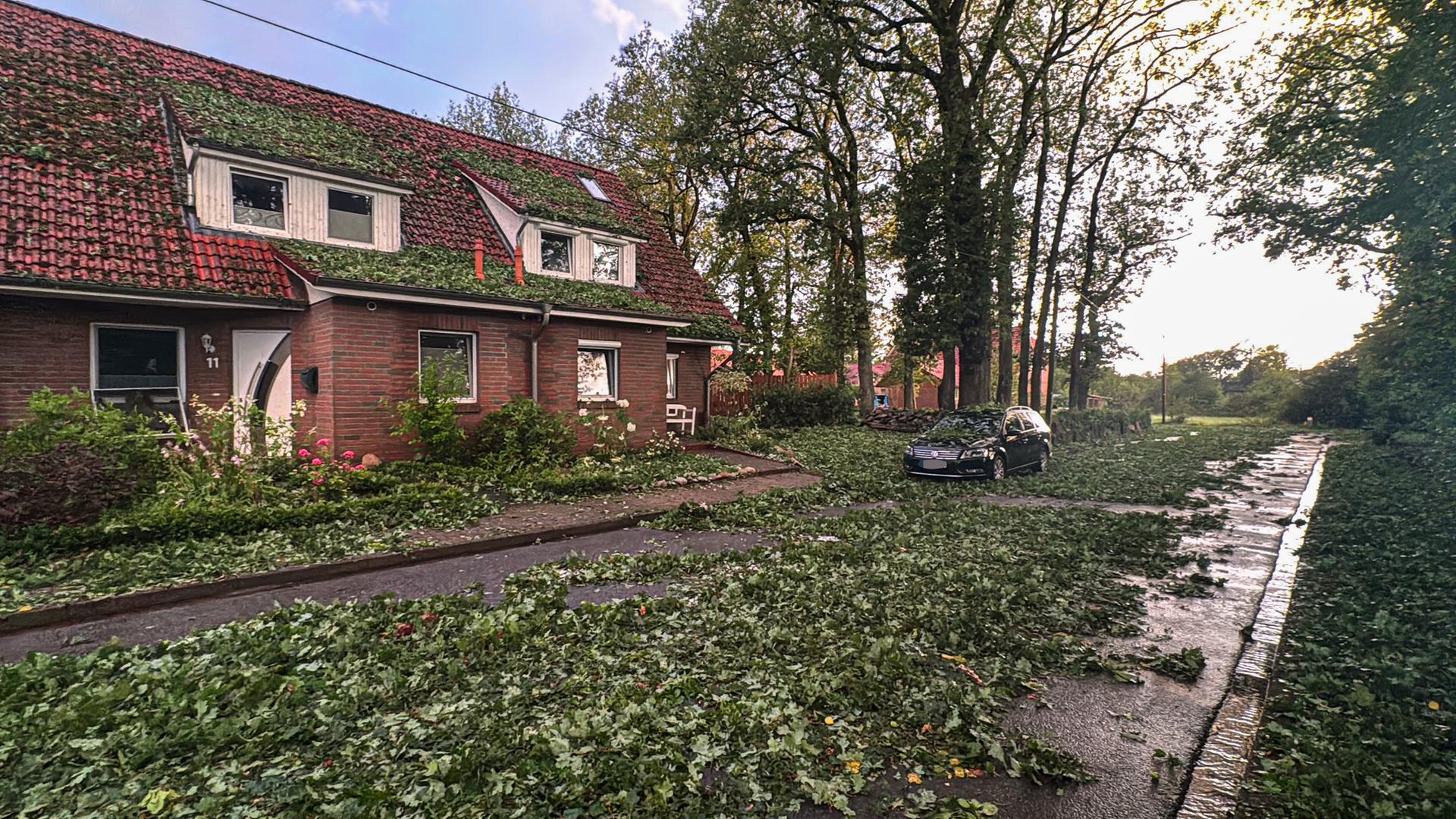 Zahlreiche Blätter auf dem Boden nach Unwetter mit Hagel in Heidenau. | JOTO