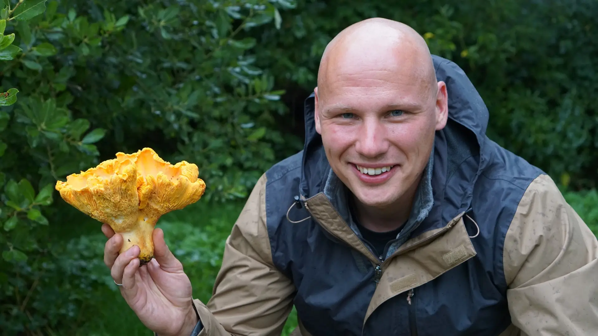 Pilzsammler im Glück: Riesen-Pfifferling bei Röbel gefunden | ndr.de Pilzsammler im Glück: Riesen-Pfifferling bei Röbel gefunden | ndr.de