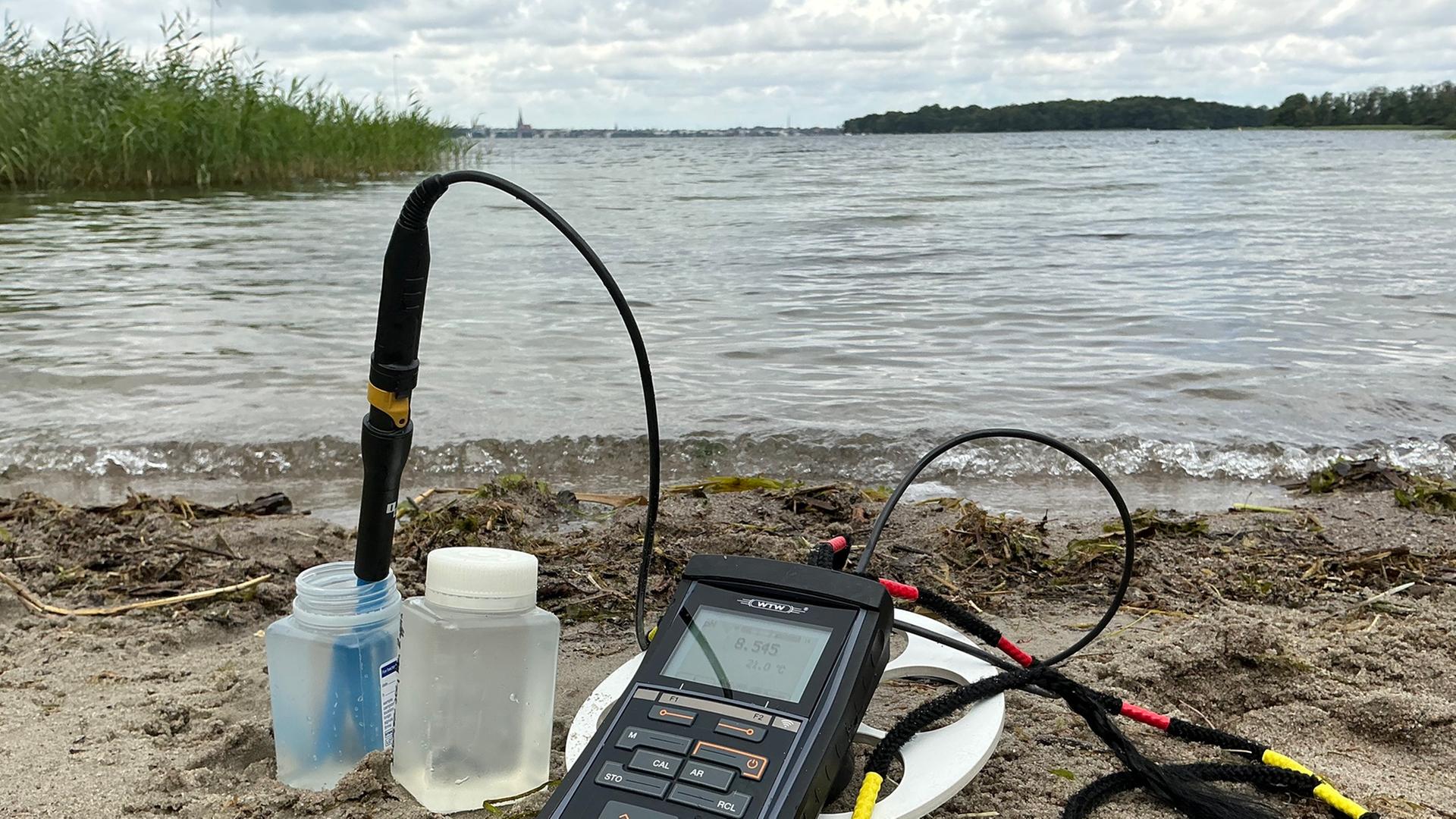Weniger Blaualgen: Badewasserqualität in Schweriner Seen gut
