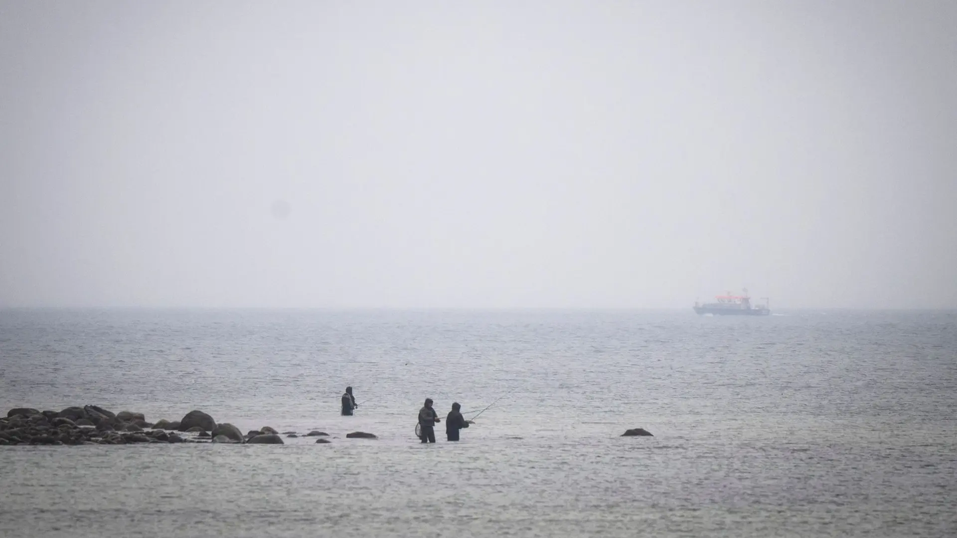 Suche in der Ostsee: Hinweis auf Buckelwal bei Wismar