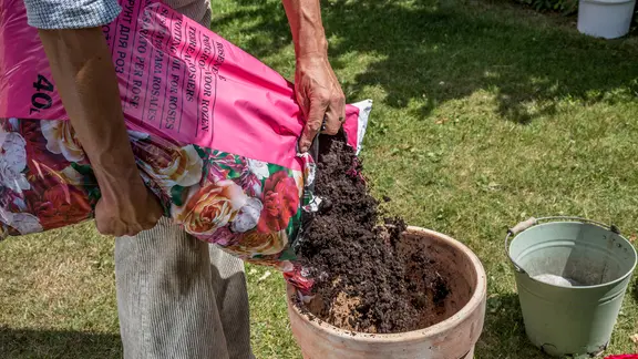 kaffeesatz palmen düngen Palmendünger flüssig - NPK Flüssigdünger main image 0