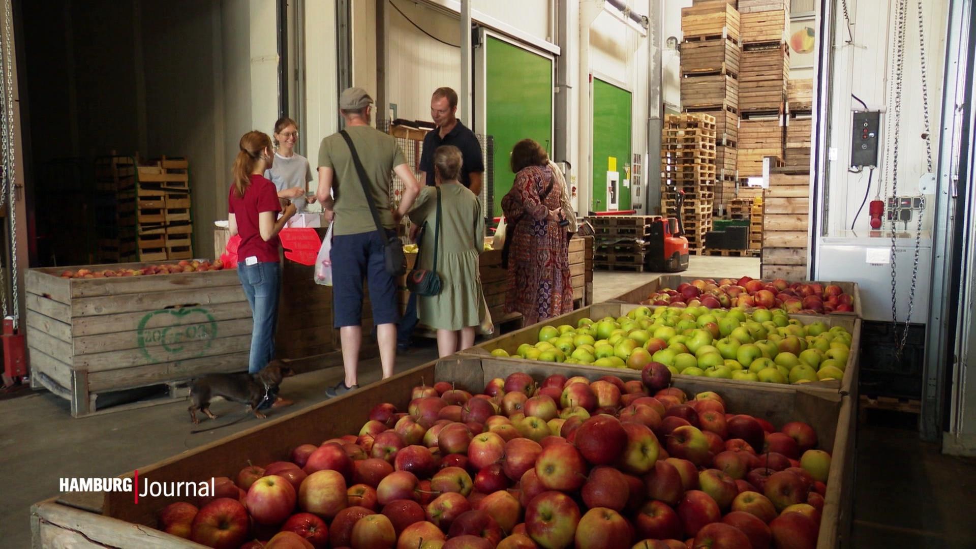 „Obst-Outlet“ – Apfel-Schlussverkauf wegen voller Lager