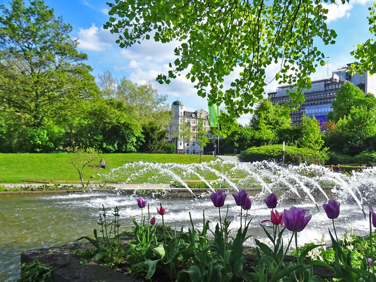 Wasserlichtspiele Planten un Blomen – Lichtspektakel im Planten un Blomen