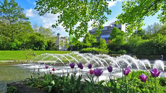 Magie aus Licht und Klang bei Planten un Blomen in Hamburg | ndr.de