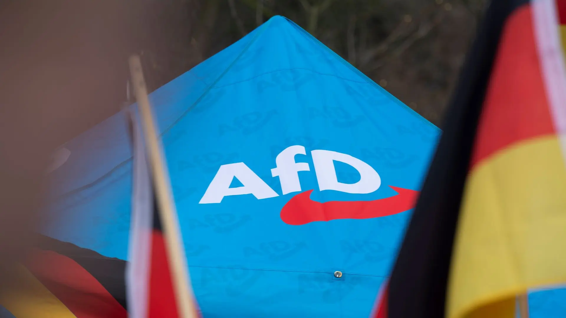 AfD gesichert rechtsextremistisch - Dunkler oder heller Tag für die ...