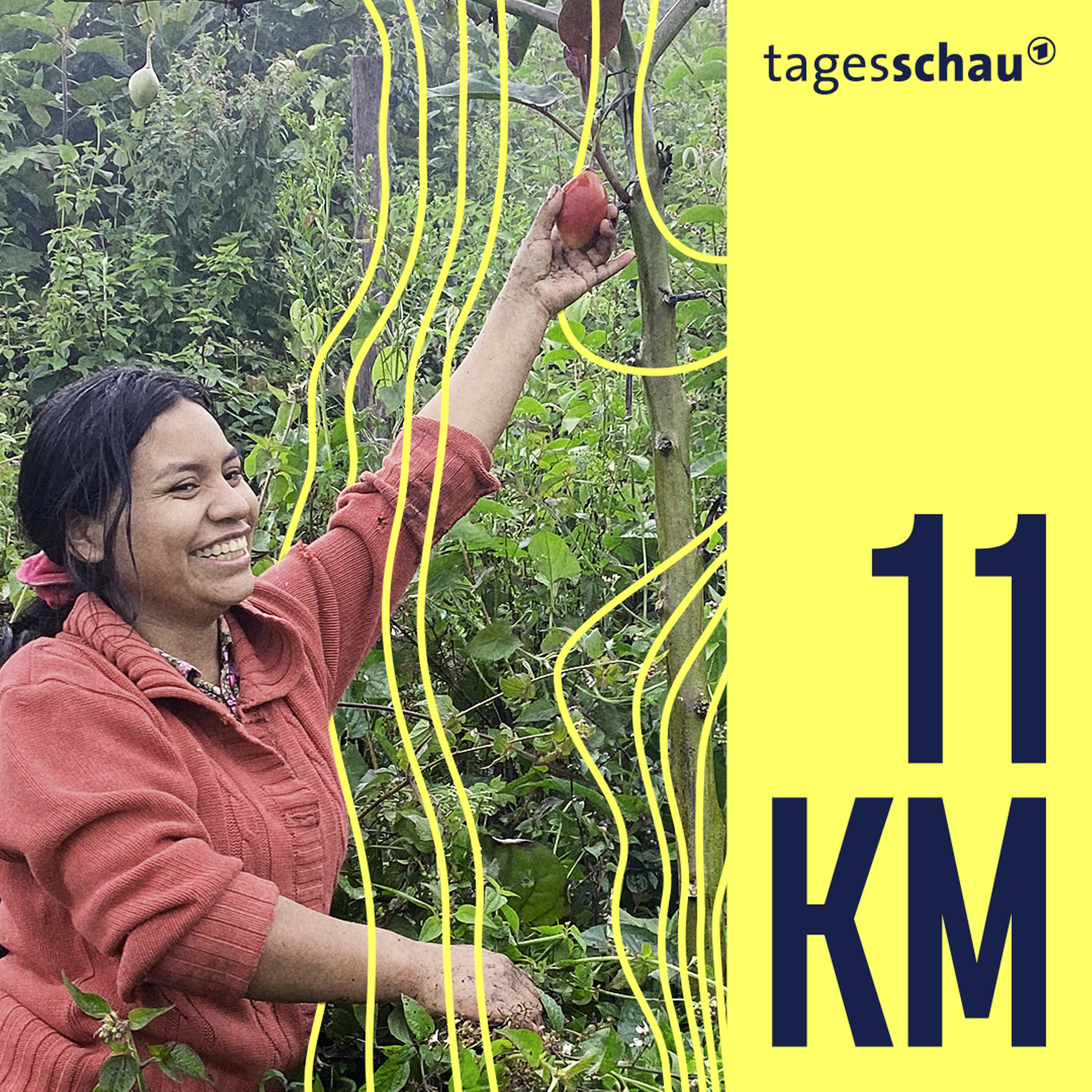 11KM: der tagesschau-Podcast