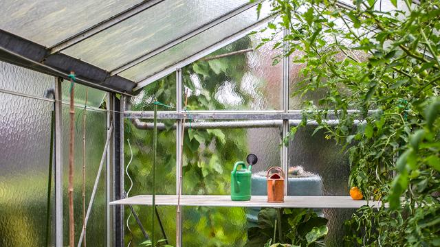 Gewchshaus im Herbst grndlich reinigen