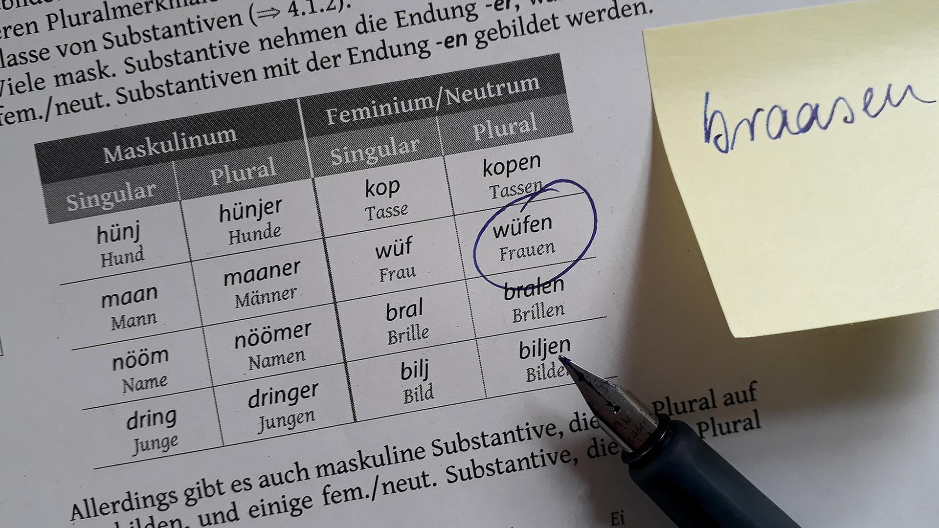 Landesregierung möchte Friesisch als reguläres Schulfach einführen