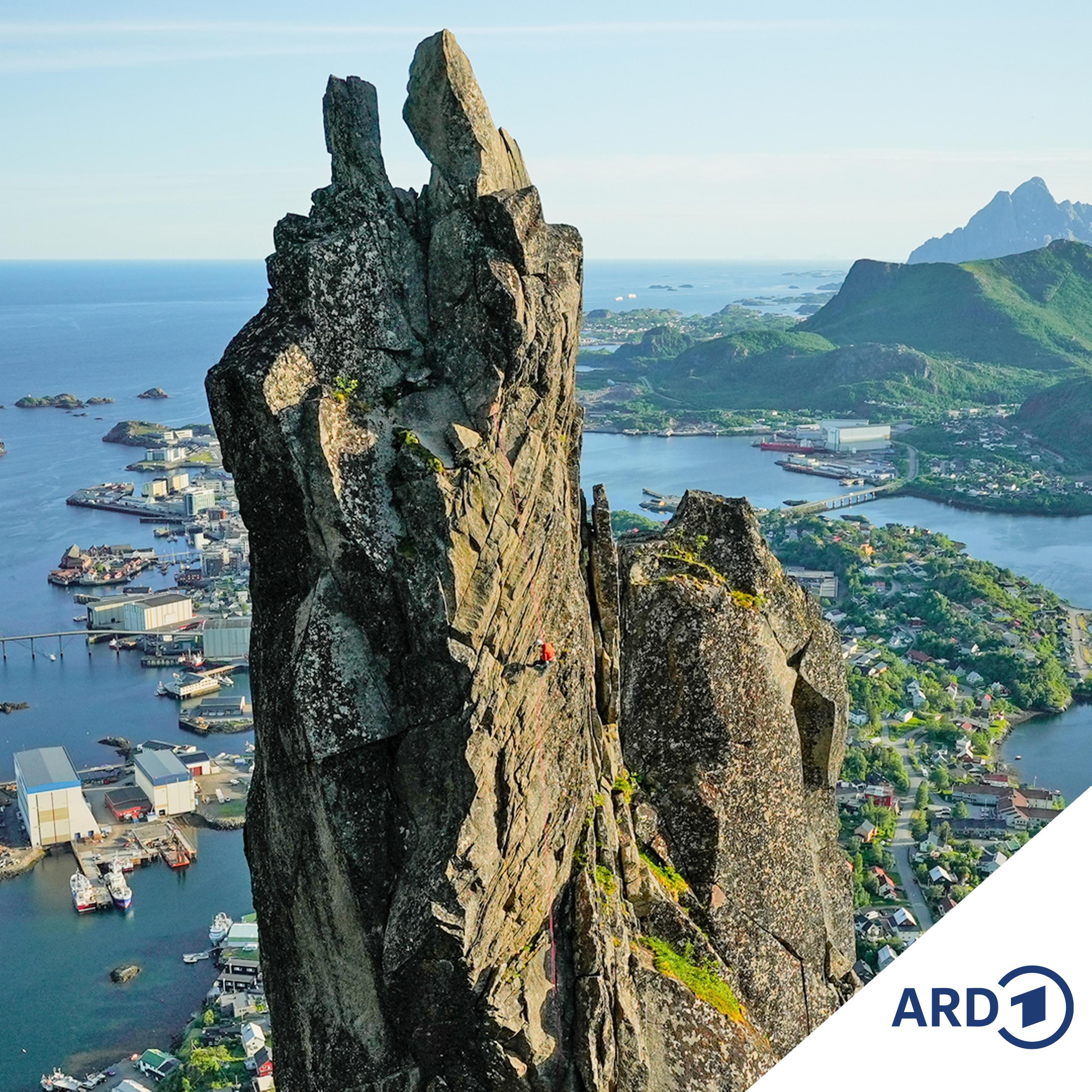 Zwischen Hamburg und Haiti