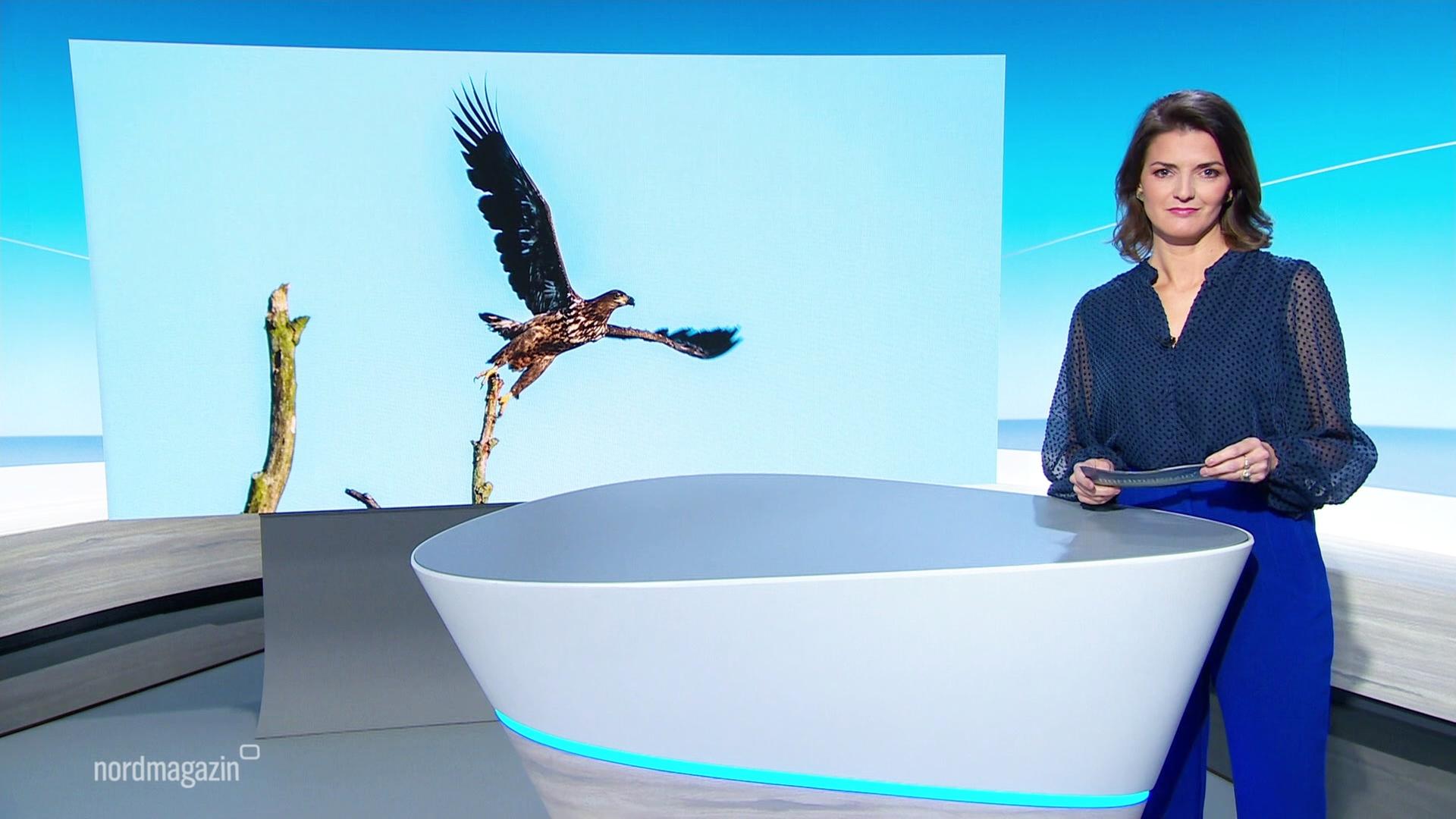 Nordmagazin - Land und Leute | 10.11.2025