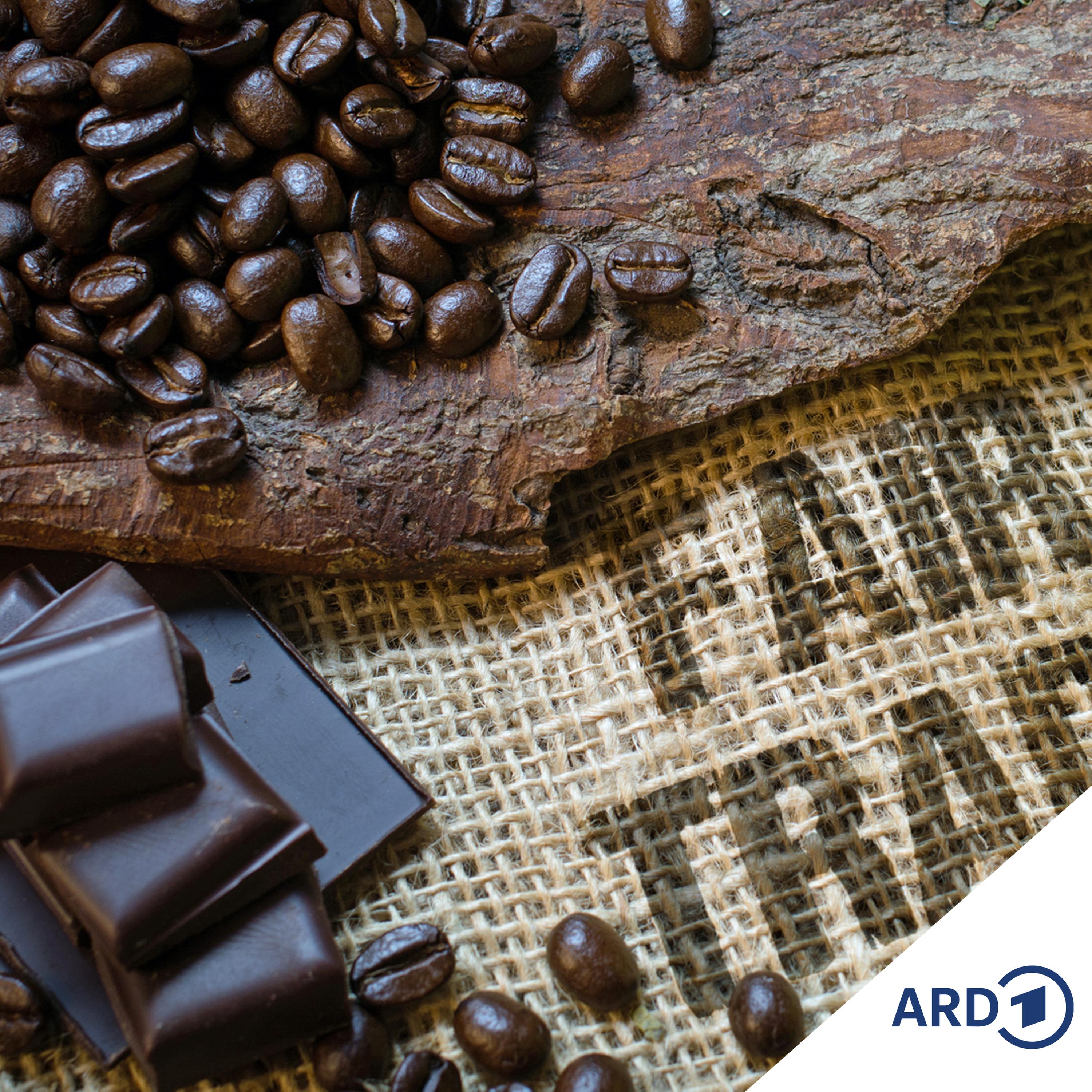 Das Hamburger Hafenkonzert