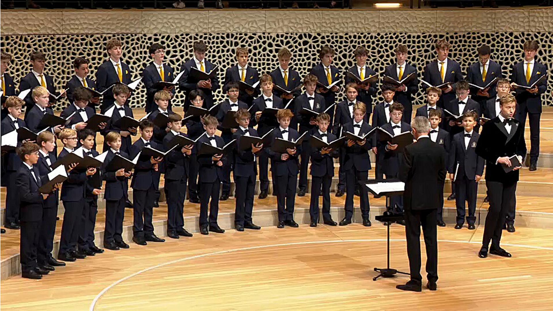 Elbphilharmonie: Regensburger Domspatzen singen den Advent ein