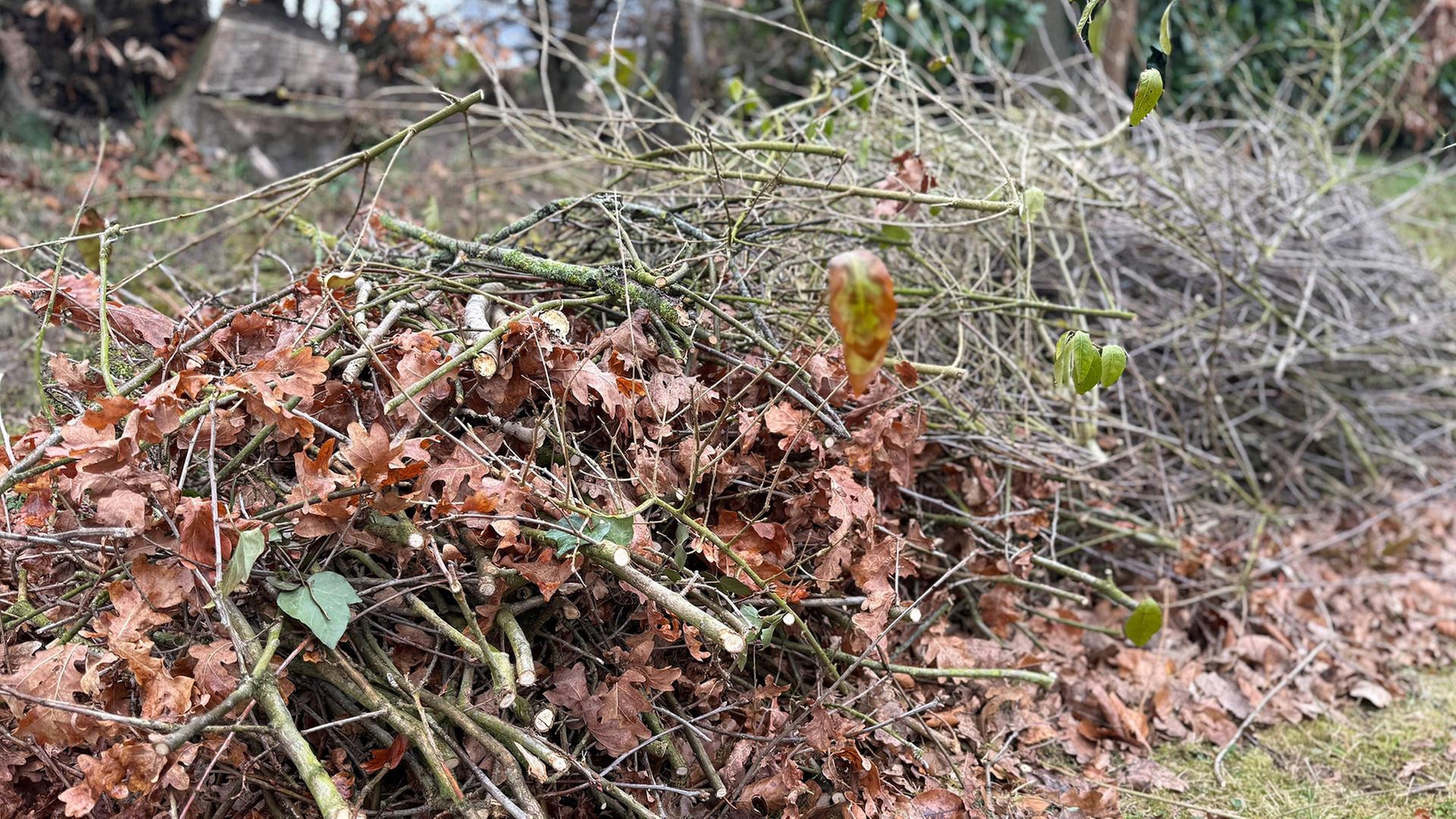 Gartenabfälle verbrennen ist auch in MV bald verboten