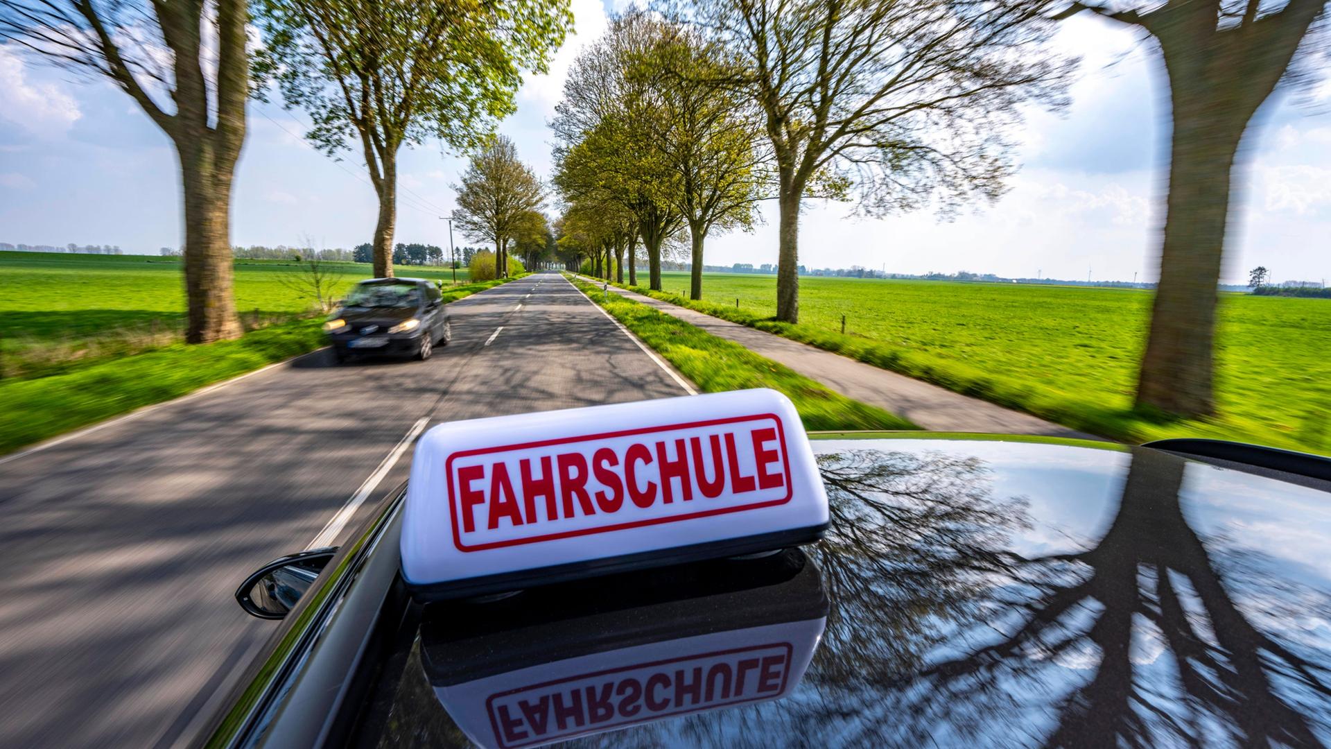 Reform der Führerschein-Prüfung: Fahrerlaubnis soll günstiger werden