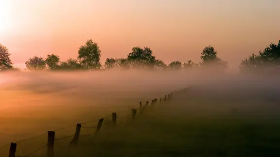 Moorlandschaft bei Worpswede bei Sonnenaufgang mit Nebel