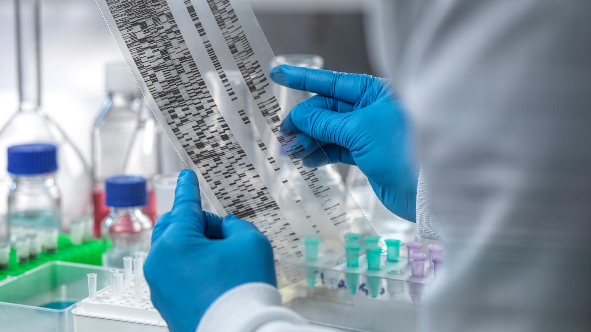 Nach 42 Jahren: Hamburger Polizei verhaftet mutmaßlichen Mörder