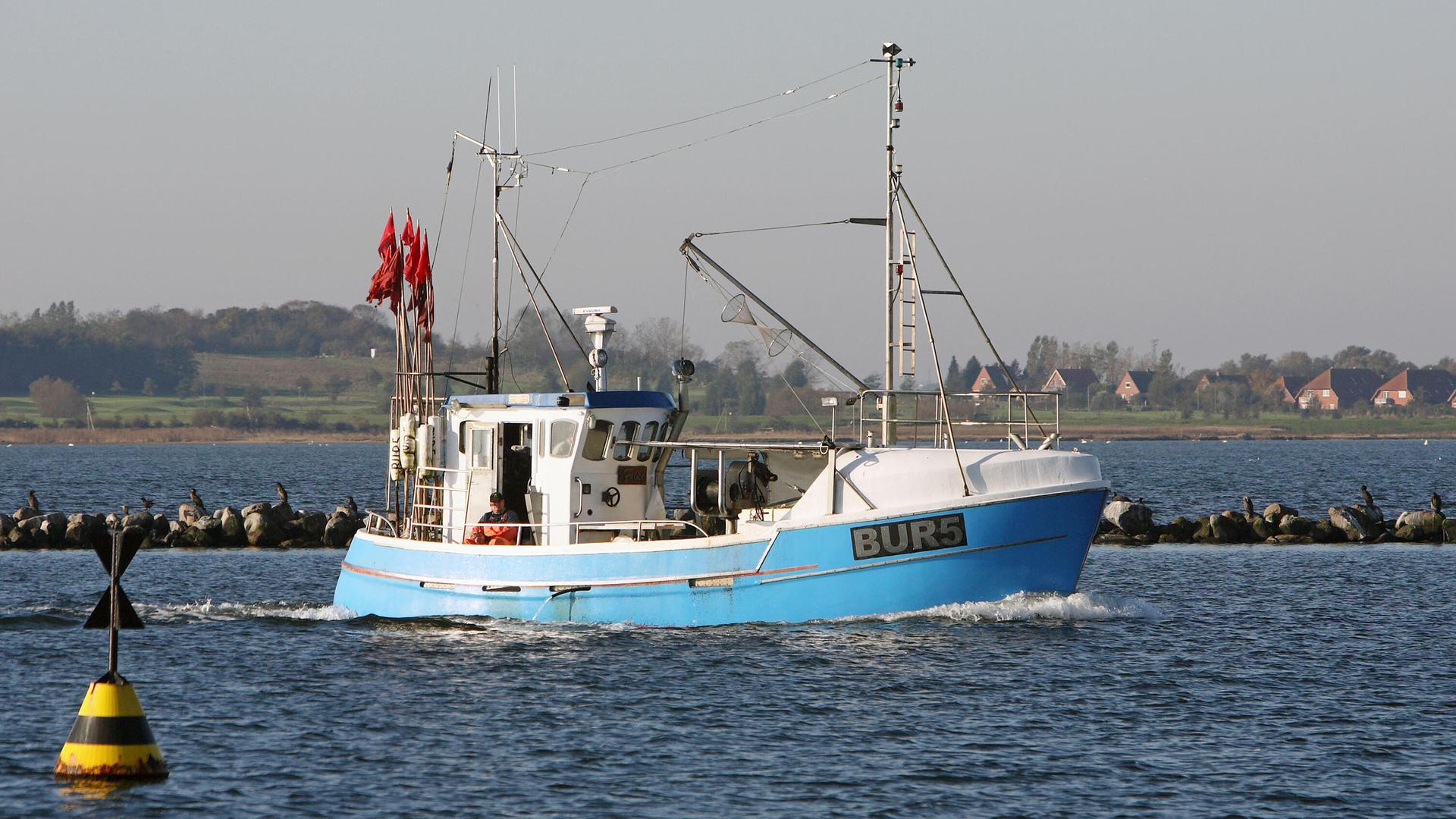 Neue Schutzgebiete mit Fangverbot: Fischerei in SH unter Druck