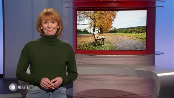 Vera Cordes moderiert "Visite".